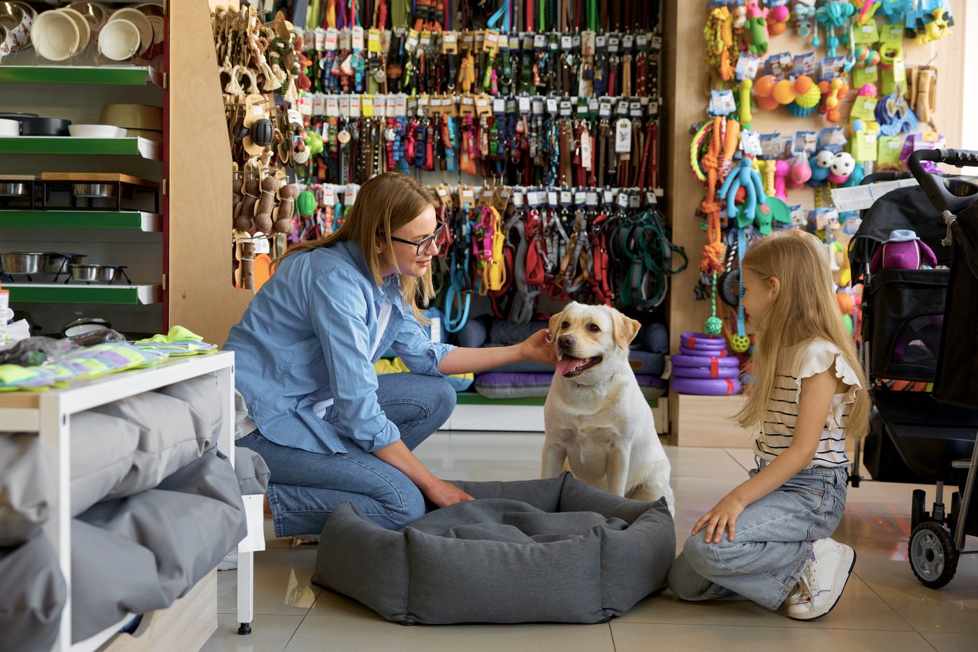 Family with a Labrador in a pet supplies store